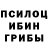 Галлюциногенные грибы мицелий RainbowCofee Official