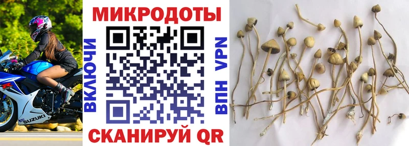купить наркотик  Назрань  Псилоцибиновые грибы Psilocybe 