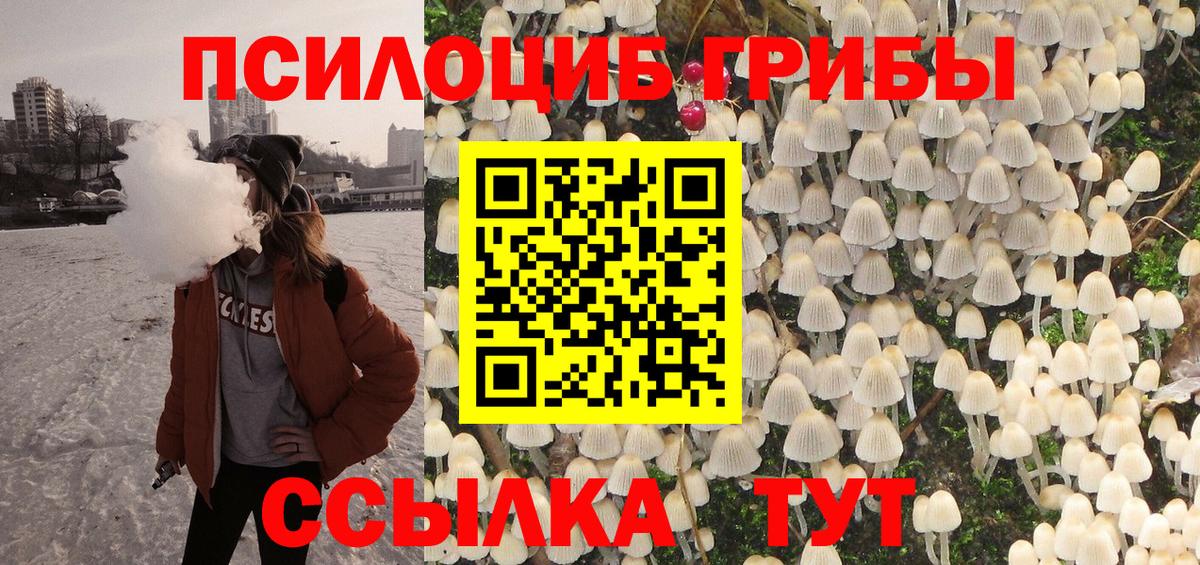 Псилоцибиновые грибы ЛСД  закладки  Назрань  Вход с VPN 