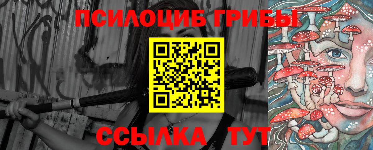 Галлюциногенные грибы Psilocybe Назрань