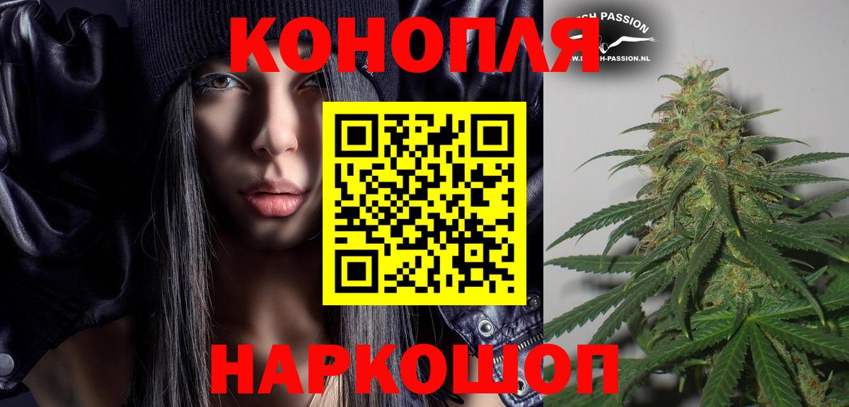 Шишки марихуана OG Kush Назрань